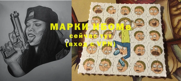 индика Вязники