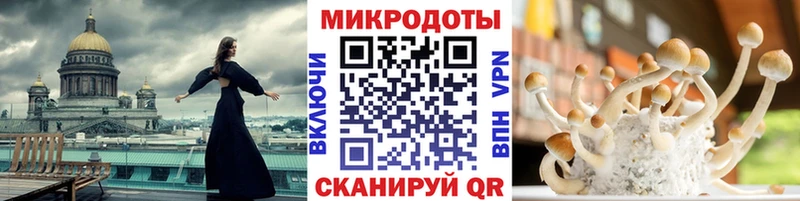 Псилоцибиновые грибы мухоморы  купить наркотик  Алдан 